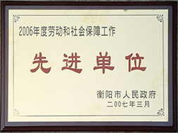 2007年度勞動(dòng)和社會(huì)保障工作先進(jìn)單位（2006年）.JPG