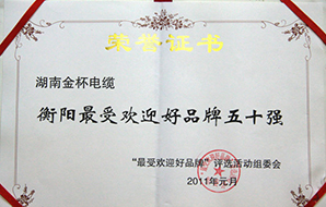 2011年度衡陽市最受歡迎好品牌五十強(qiáng)2.jpg