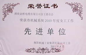 2011年度市機(jī)械系統(tǒng)女工工作先進(jìn)單位（2010年）.jpg