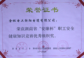 2012年度湖南省“安康杯”職工安全健康知識(shí)競(jìng)賽優(yōu)秀組織獎(jiǎng).jpg