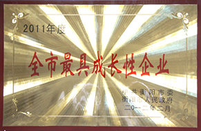 2012年度全市最具成長(zhǎng)性企業(yè)（2011年）2.jpg